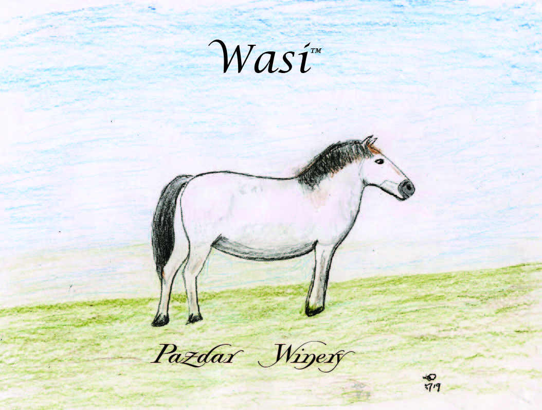 Wasi™ - Click Image to Close